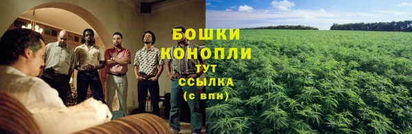 spice Куйбышев