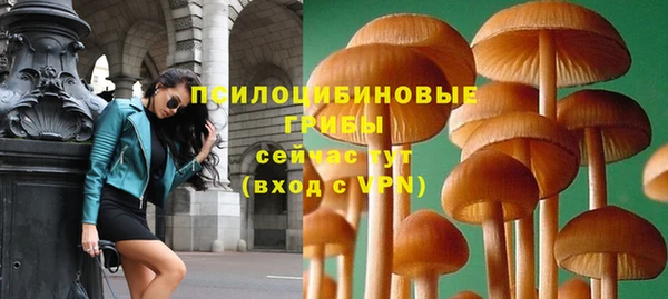 винт Кукмор