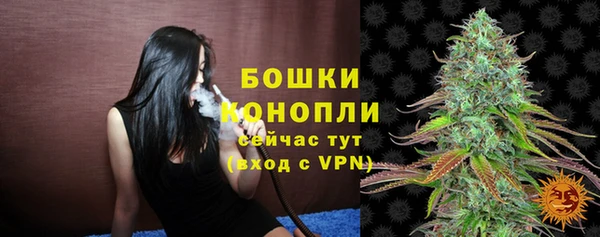 spice Куйбышев